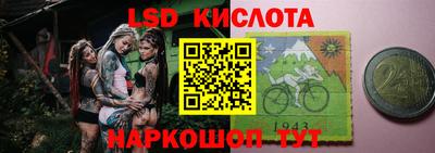 гидра Шебекино