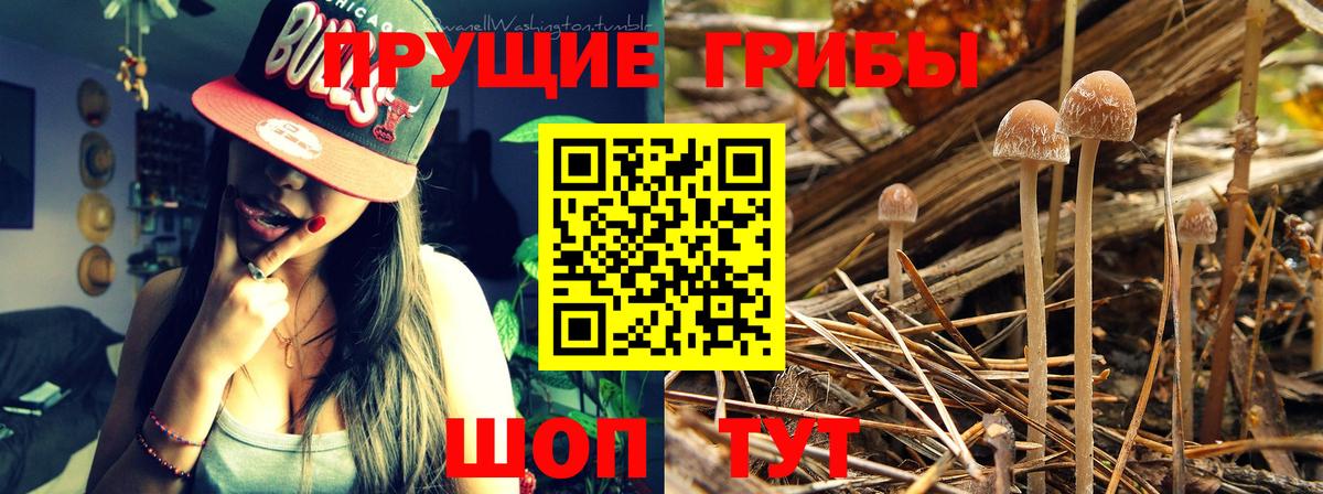 Кодеин  КЕТАМИН  Белореченск  MDMA  Вход с VPN  Мефедрон  ГАШИШ  ЭКСТАЗИ  Меф кристаллы 